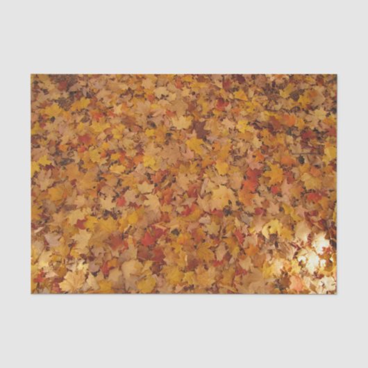 HERFSTBLADEREN TISSUEPAPIER (Voorkant)