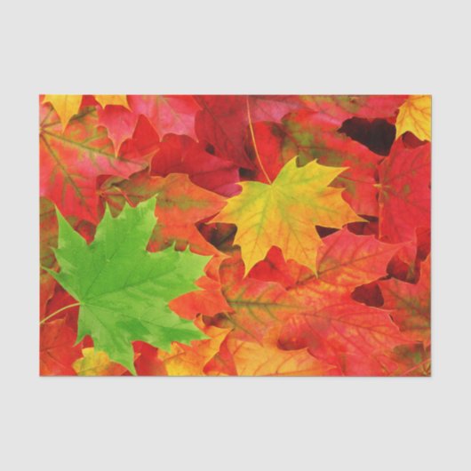 Herfstbladeren Tissuepapier (Voorkant)