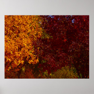 Herfstbladeren van Geel en Paars, ZSSPG Poster
