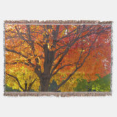 Herfstbladeren van geel en Sinaasappel Foto Deken (Voorkant)