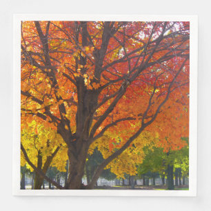 Herfstbladeren van geel en Sinaasappel Foto Servet