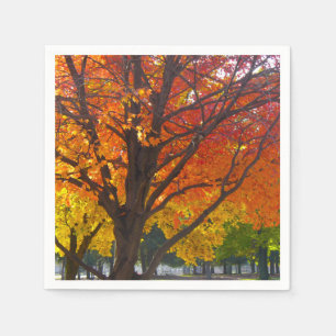 Herfstbladeren van geel en Sinaasappel Foto Servetten