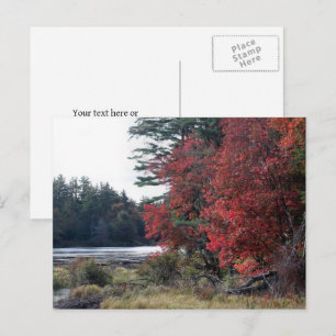 Herfstbladeren Vijver Natuurfotografie Briefkaart