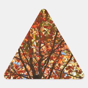Herfstbladeren Vuurwerk Driehoek Sticker