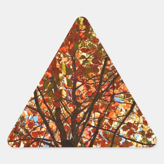Herfstbladeren Vuurwerk Driehoek Sticker (Voorkant)
