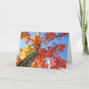 Herfstbladeren Wenskaarten Kleurrijke Herfstboom Kaart