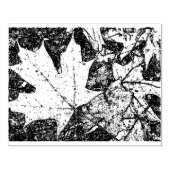 Herfstbladstempel 4x6 	rubberstempel (Afrduk)