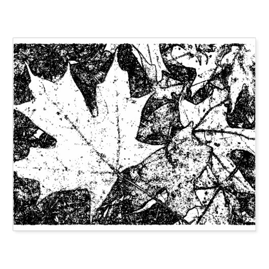 Herfstbladstempel 4x6 	rubberstempel (Afrduk)