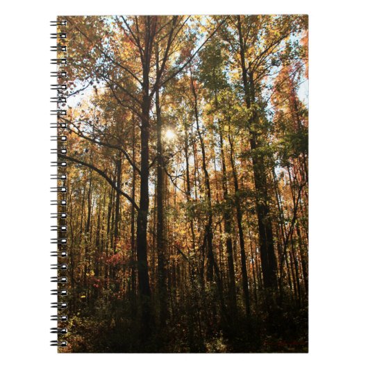 Herfstbomen #3855 Notitieboek (Voorkant)