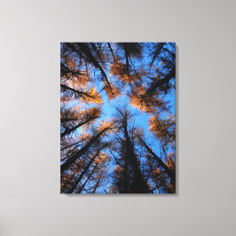 Herfstbomen bij zonsondergang canvas print