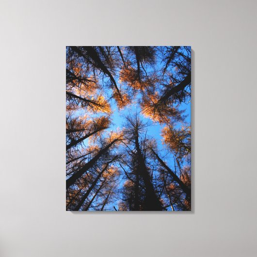 Herfstbomen bij zonsondergang canvas print (Voorkant)