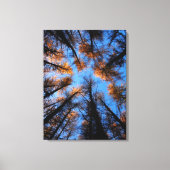 Herfstbomen bij zonsondergang canvas print (Voorkant)