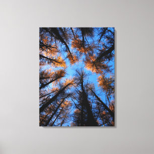 Herfstbomen bij zonsondergang canvas print