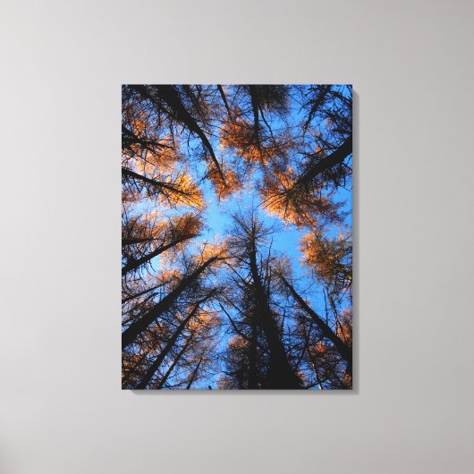 Herfstbomen bij zonsondergang canvas print (Voorkant)