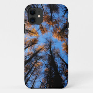 Herfstbomen bij zonsondergang iPhone 11 hoesje