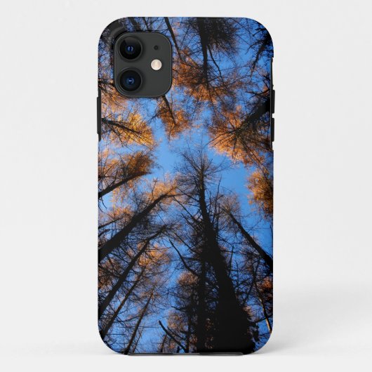 Herfstbomen bij zonsondergang Case-Mate iPhone case (Achterkant)