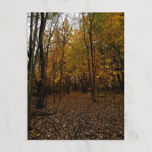 Herfstbomen bij zonsondergang Taylor Michigan Ansi Feestdagenkaart