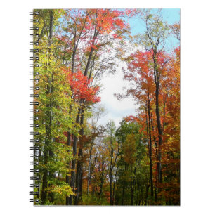 Herfstbomen en blauwe lucht herfst natuur fotograf notitieboek