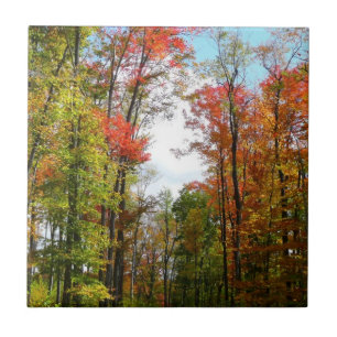 Herfstbomen en blauwe lucht Herfst Natuurfotografi Tegeltje