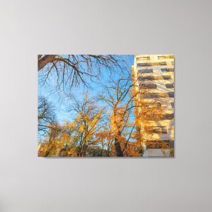 Herfstbomen en gevel van een gebouw canvas afdruk