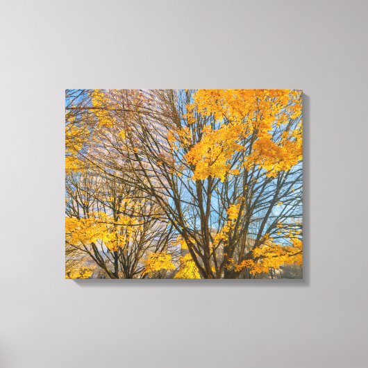 Herfstbomen in het stadsbeeld canvas afdruk (Voorkant)