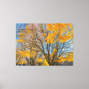 Herfstbomen in het stadsbeeld canvas afdruk