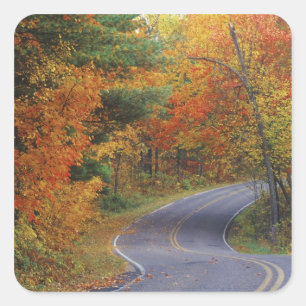 Herfstbomen langs de weg in Itasca State Park Vierkante Sticker
