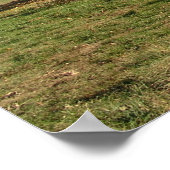 herfstbomen poster (Hoek)