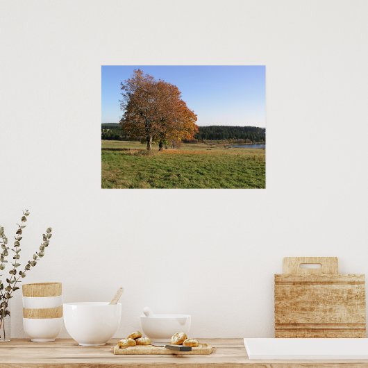 herfstbomen poster (Keuken)