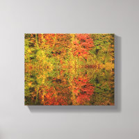 Herfstbomen reflecteren