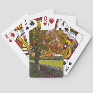 Herfstboom bij stenen muur speelkaarten