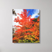 Herfstboom Canvas Afdruk (Voorkant)