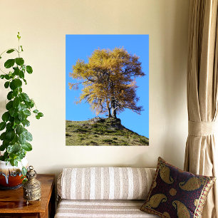 Herfstboom Canvas Afdruk