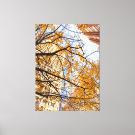 Herfstboom in de stad canvas afdruk