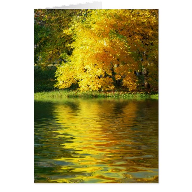 Herfstboom in het bos met bezinning (Voorkant)