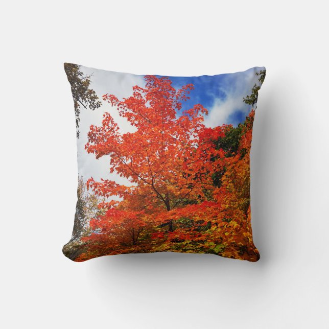 Herfstboom Kussen (Voorkant)