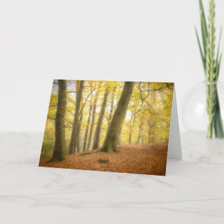 Herfstbos (4358)  Kaart