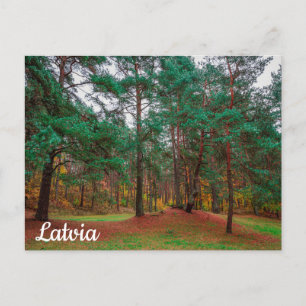 Herfstbos Briefkaart