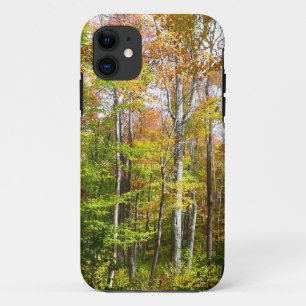 Herfstbos I Herfstlandschapsfotografie iPhone 11 Hoesje