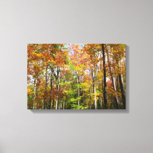 Herfstbos II Herfstlandschapsfotografie Canvas Afdruk