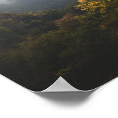 Herfstbos in mist verpakt poster (Hoek)