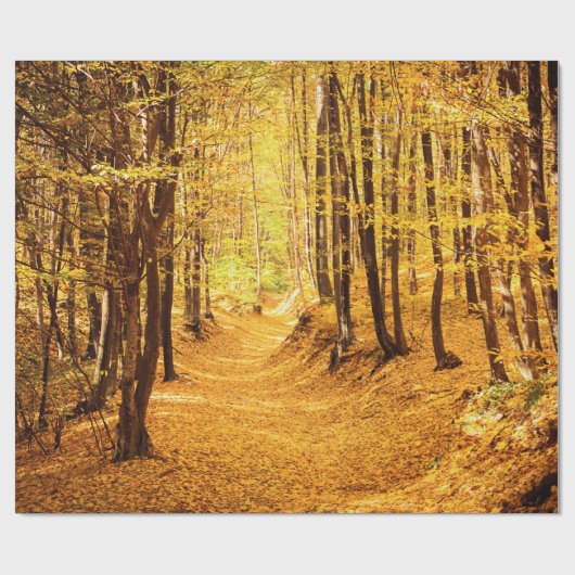 Herfstboslandschap Cadeaupapier (Vlak)