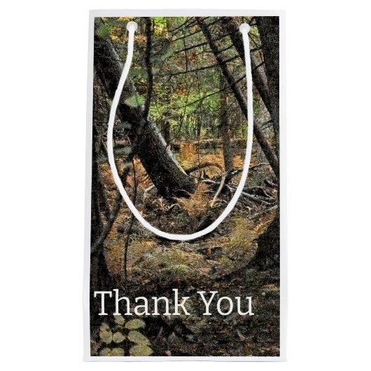 Herfstbosscène Klein Cadeauzakje (Voorkant)