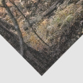 Herfstbosscène Tissuepapier (Detail)