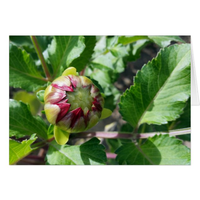 herfstbuis (Voorkant Horizontaal)