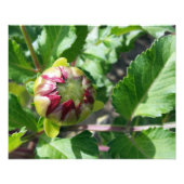 herfstbuis foto afdruk (Voorkant)