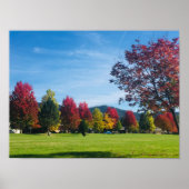 Herfstdag in het Poster (Voorkant)