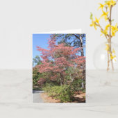 HERFSTDOGWOOD KAART (Gele Bloem)