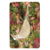 herfstduif magneet (Verticaal)