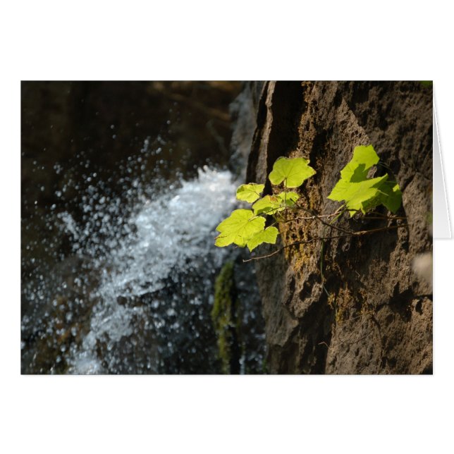 Herfsten (Voorkant Horizontaal)